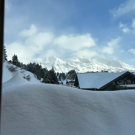 公寓 Steinadler Seekarspitz Fl - Skiing In 上陶恩